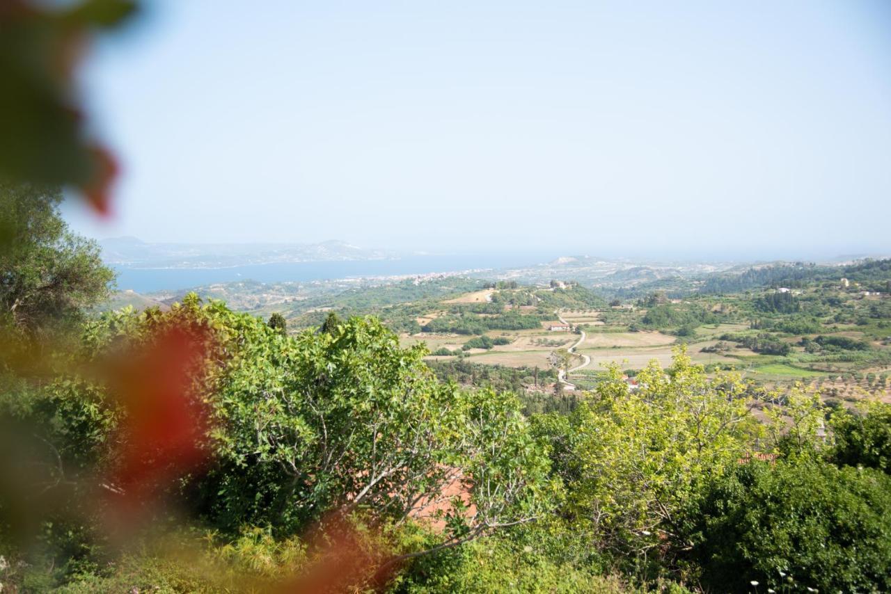 Rena'S Panorama View House Pension Vóvikes Buitenkant foto